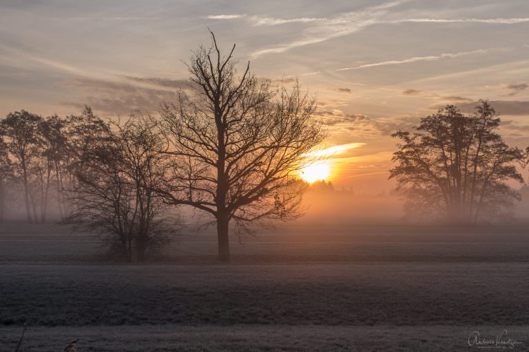 Morgens in Altengamme