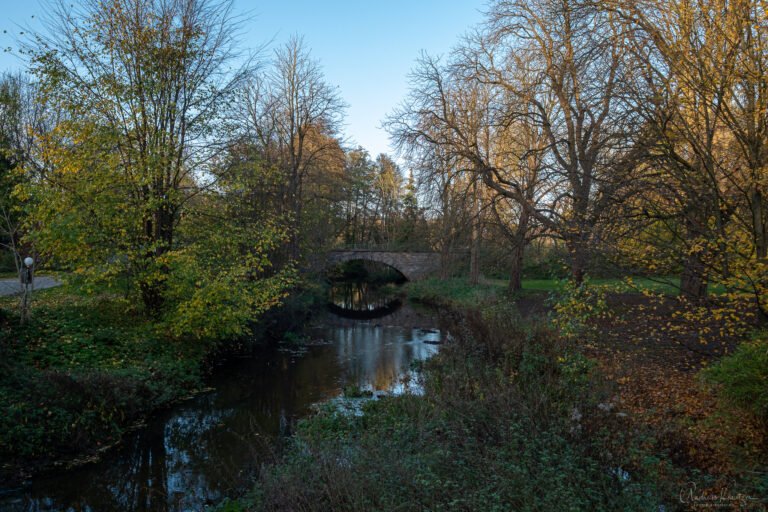 BIlle bei der Grander Mühle