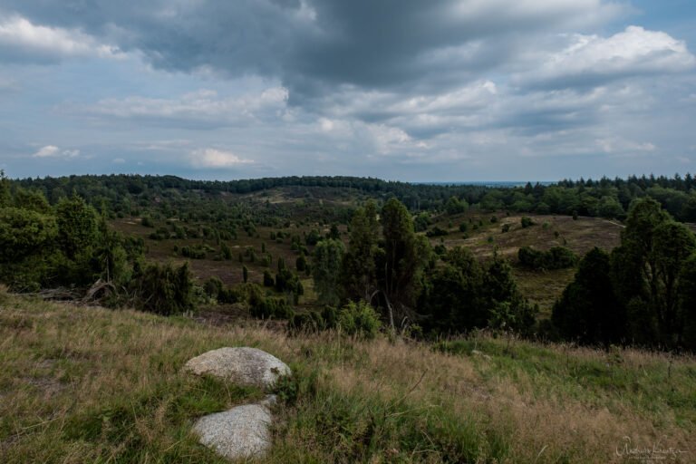 Blick von der Aussichtsplattform auf den Totengrund in der Lüneburger Heide