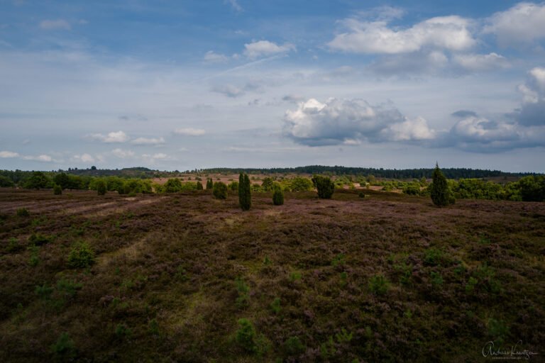 Blick von der Aussichtsplattform Fürstengrab auf die Heide