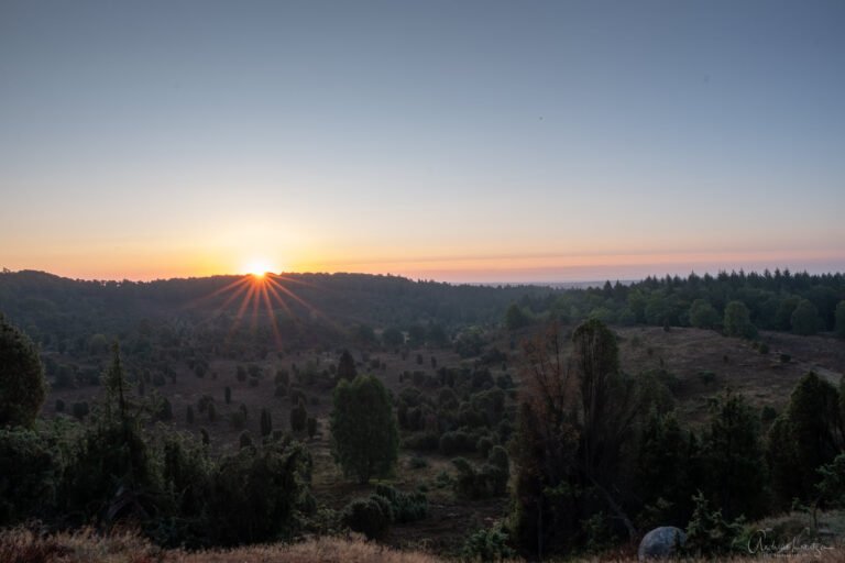 Sonnenaufgang am Totengrund in der Lüneburger Heide