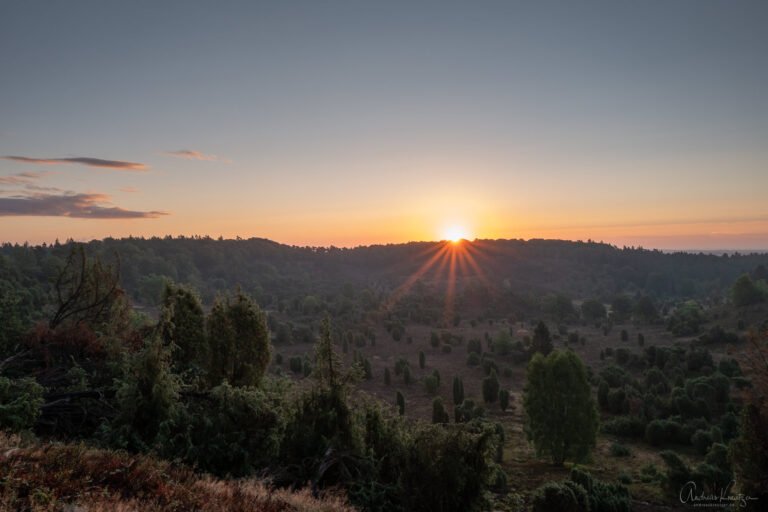 Sonnenaufgang am Totengrund in der Lüneburger Heide