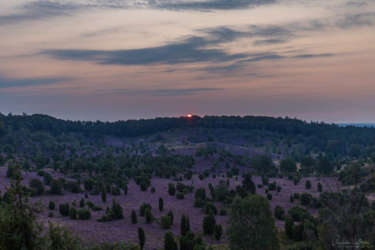 Sonnenaufgang am Totengrund in der Lüneburger Heide