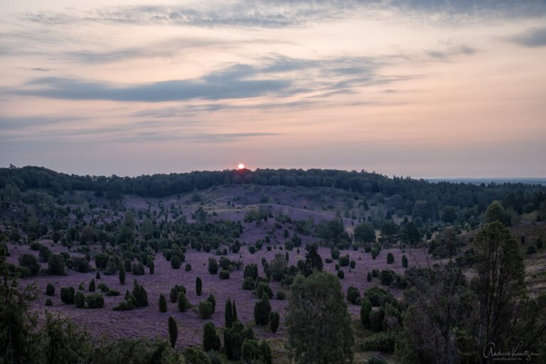 Sonnenaufgang am Totengrund in der Lüneburger Heide