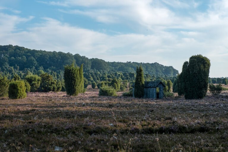 Steingrund in der Lüneburger Heide