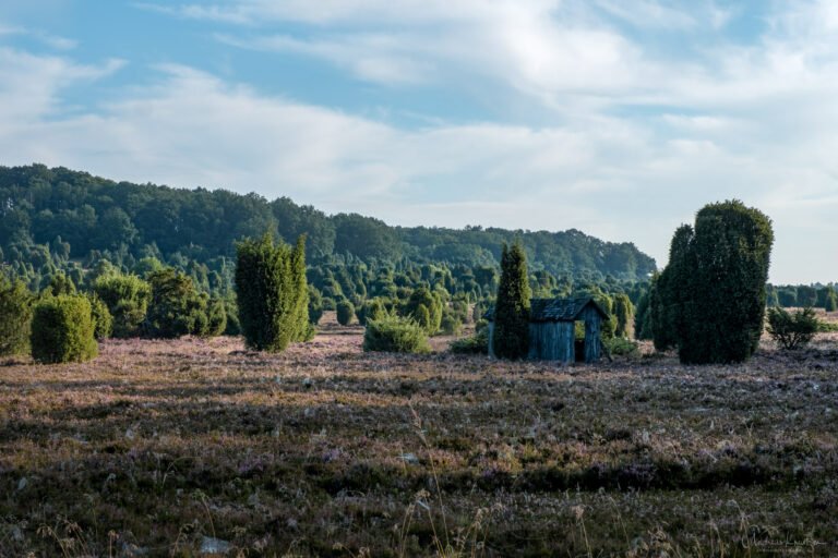 Steingrund in der Lüneburger Heide