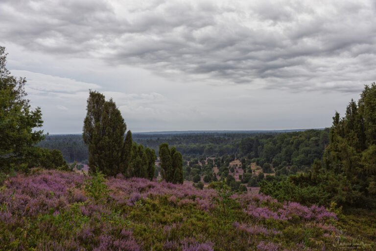 Steingrund in der Lüneburger Heide