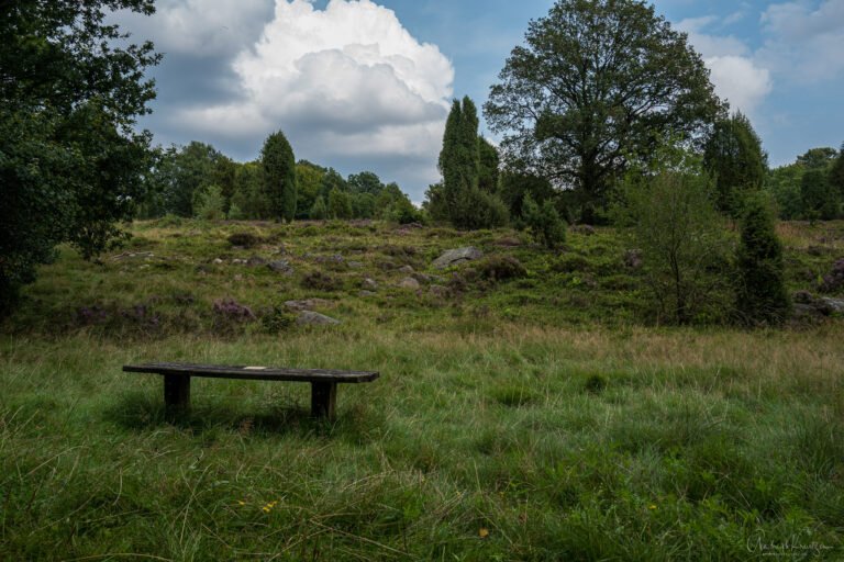 Steingrund in der Lüneburger Heide