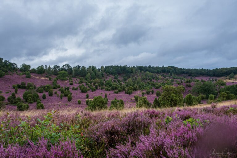 Totengrund in der Lüneburger Heide