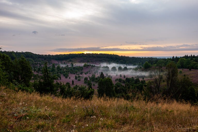 Totengrund in der Lüneburger Heide