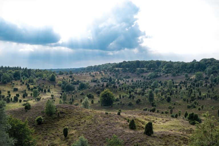 Totengrund in der Lüneburger Heide