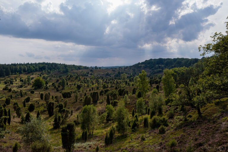 Totengrund in der Lüneburger Heide