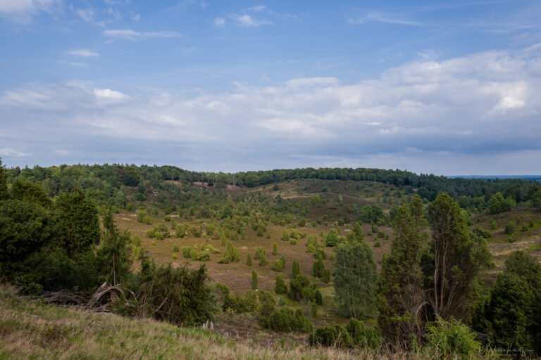 Totengrund in der Lüneburger Heide