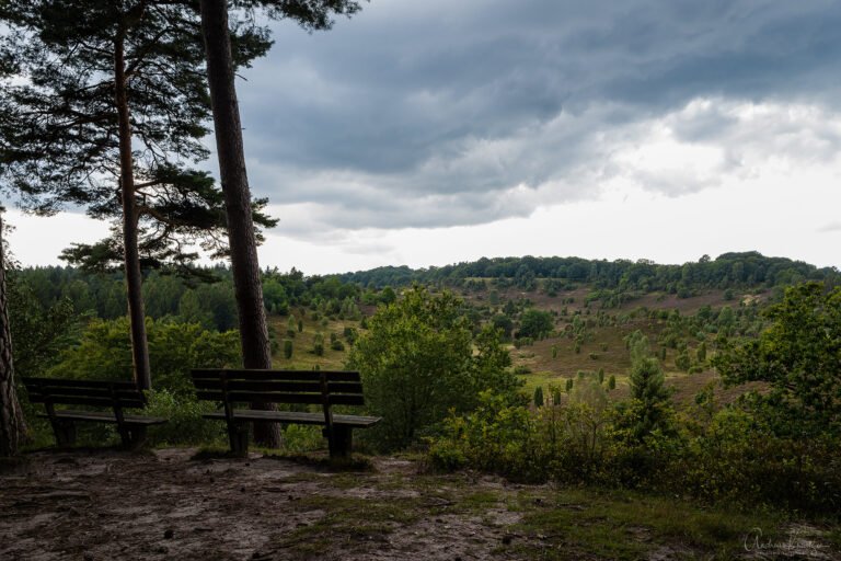 Blick auf den Totengrund in der Lüneburger Heide im Bereich des  Holzberg