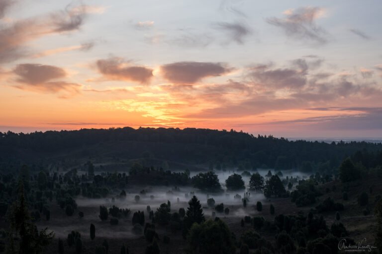 Totengrund in der Lüneburger Heide beim Sonnenaufgang