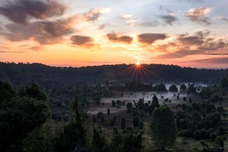 Totengrund in der Lüneburger Heide beim Sonnenaufgang