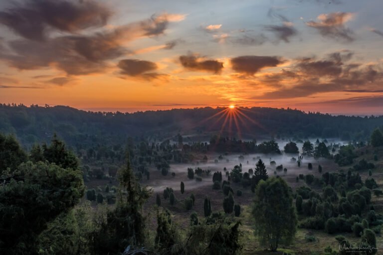 Totengrund in der Lüneburger Heide beim Sonnenaufgang