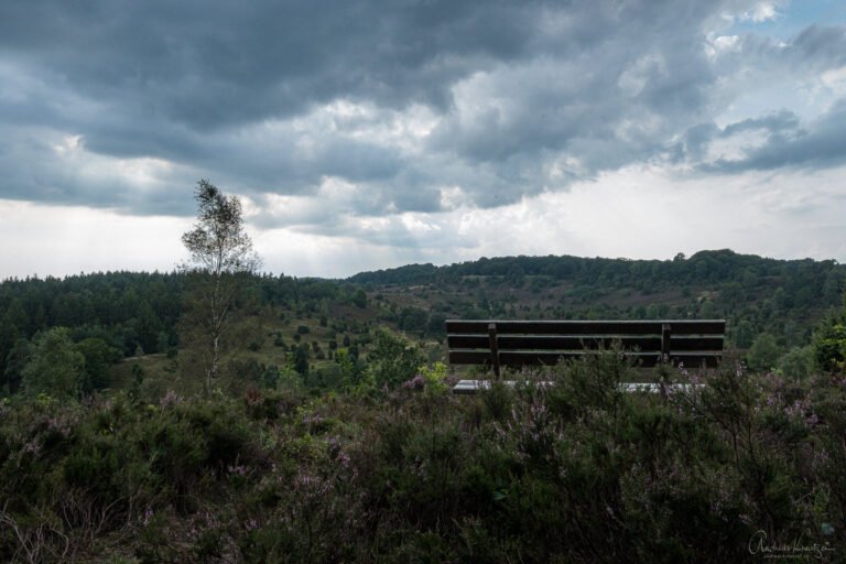 Totengrund Lüneburger Heide