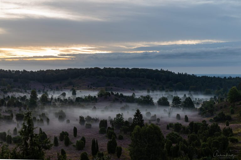 Totengrund mit Nebel