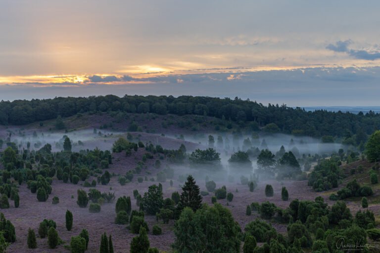 Totengrund mit Nebel