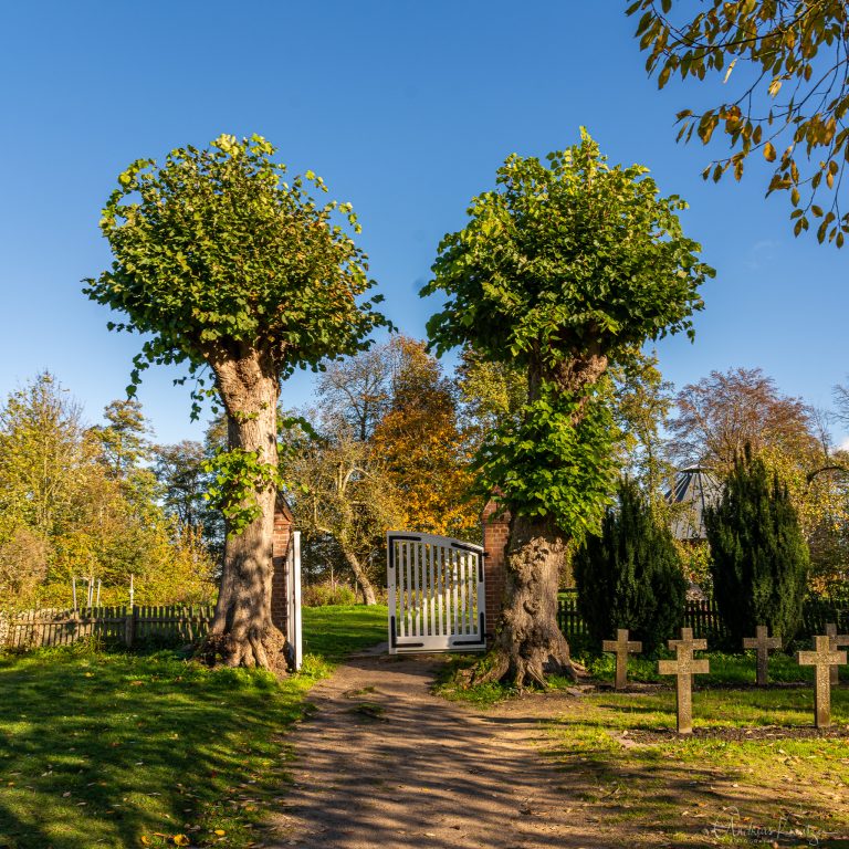 Apfelgarten Prinzeninsel