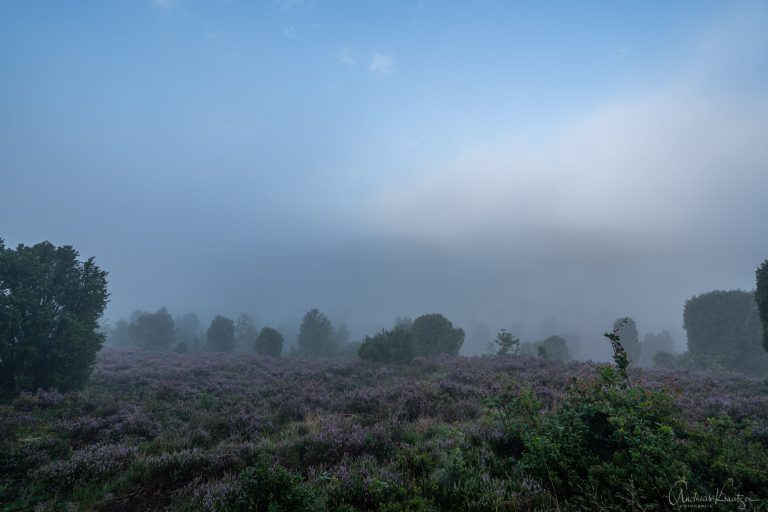 Totengrund im Nebel