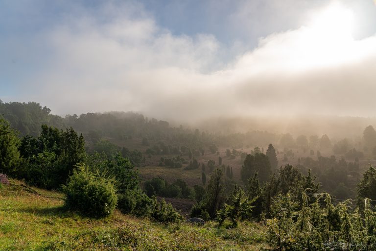 Totengrund in der Lüneburger Heide