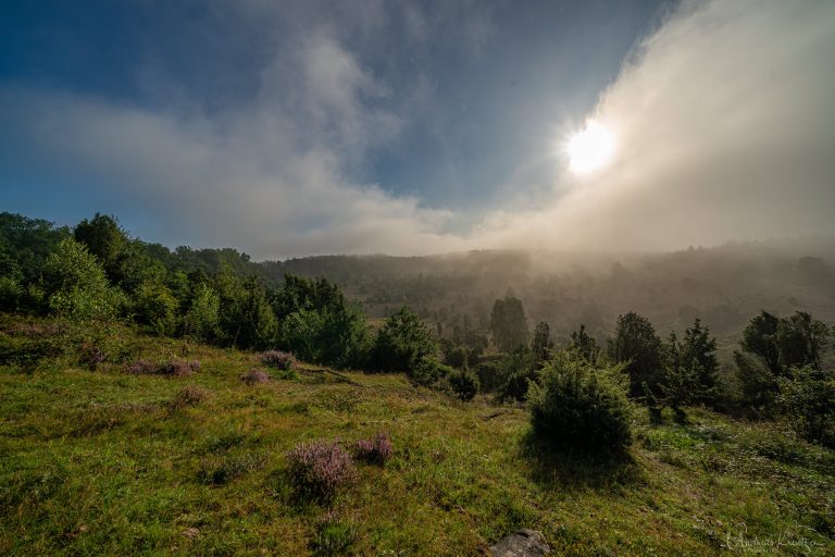 Totengrund in der Lüneburger Heide