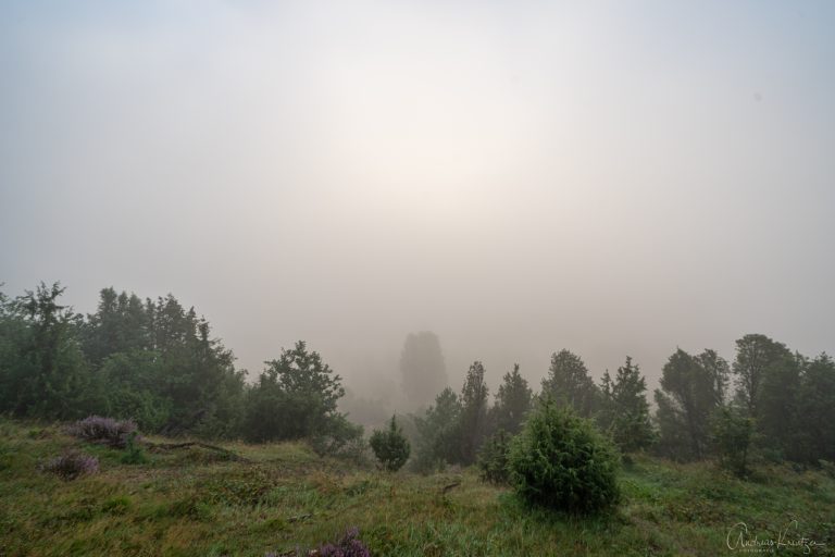 Totengrund im Nebel