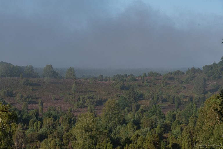 Totengrund in der Lüneburger Heide