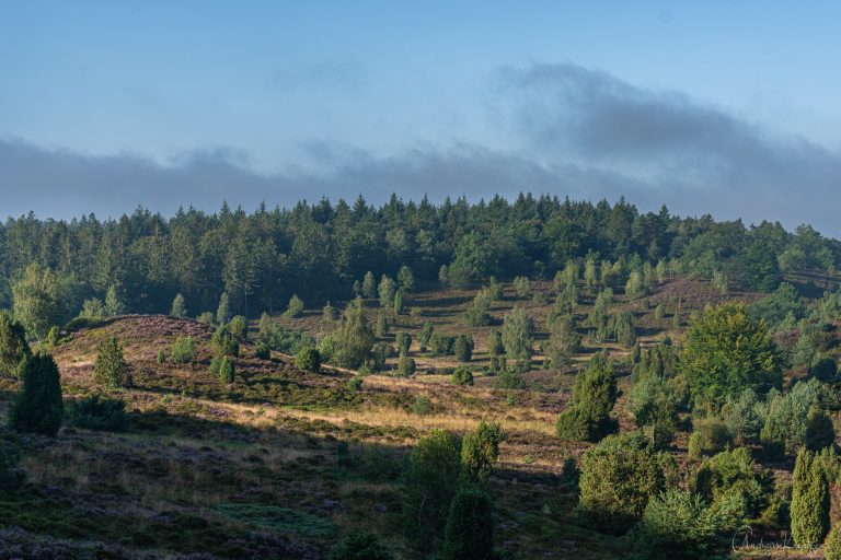 Totengrund in der Lüneburger Heide